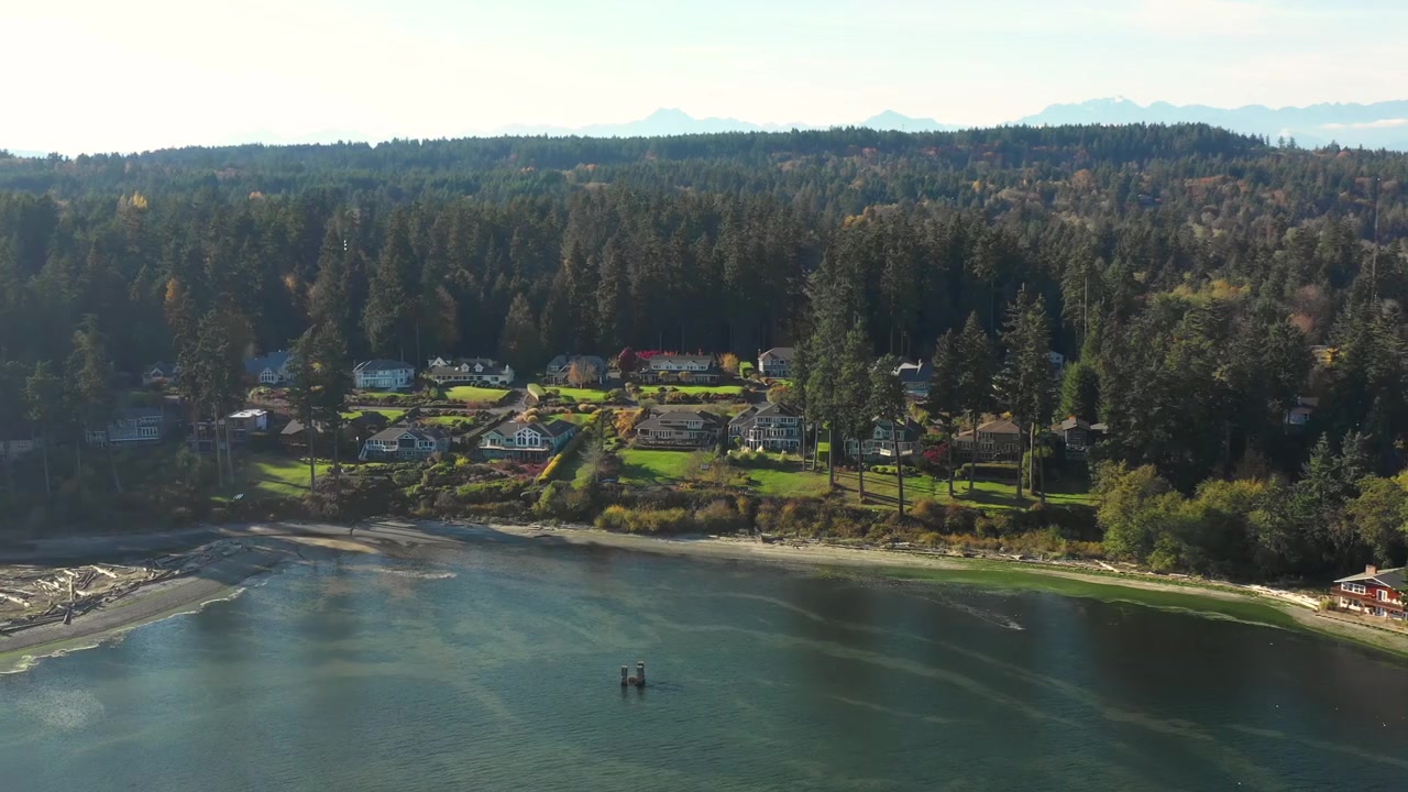 Aerial view of waterfront homes along a wooded shoreline