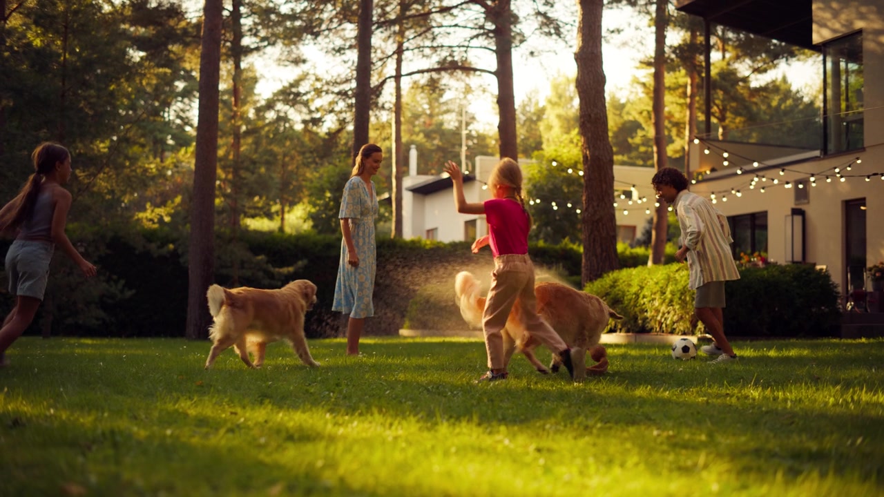 Family playing with their dogs in a sunlit backyard