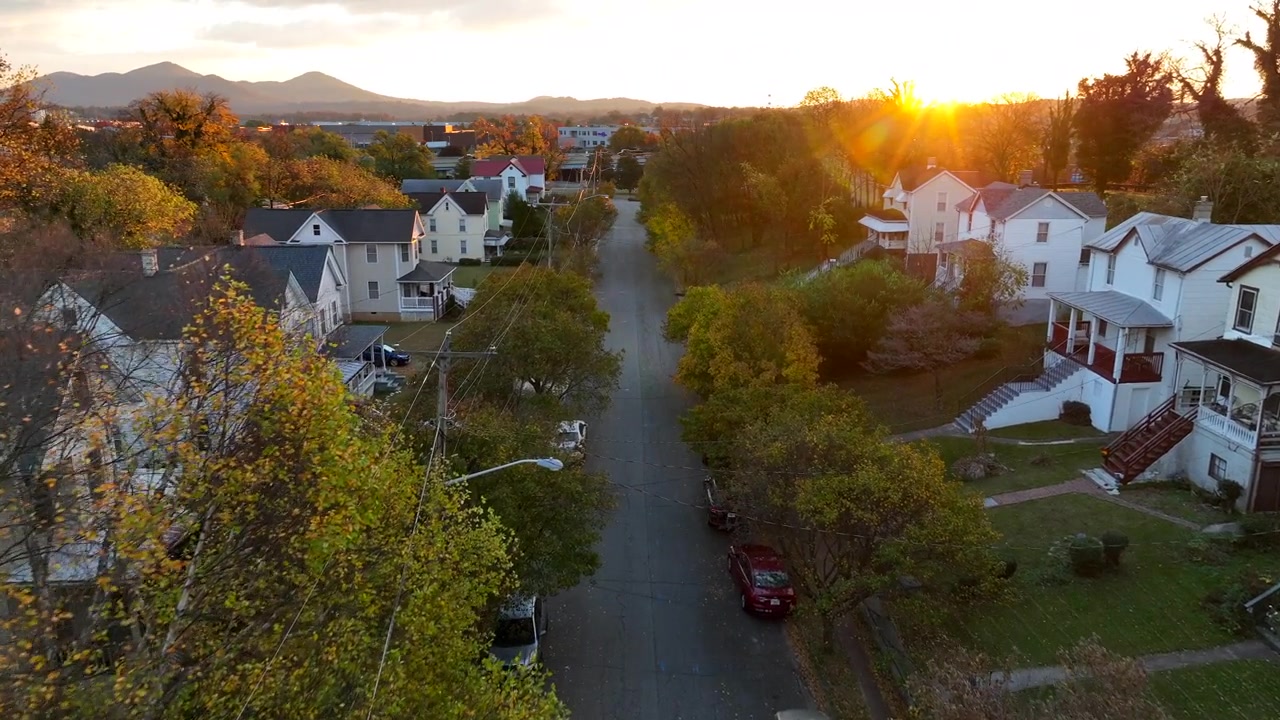 Aerial view of a tree-lined neighborhood street at sunset