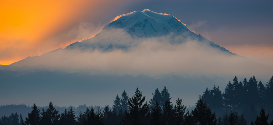 ACU Newsletter: Fall 2025